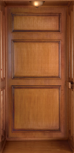 Destiny Home Elevator